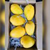 BANGAN Pali Mango 🥭 9 kg carton