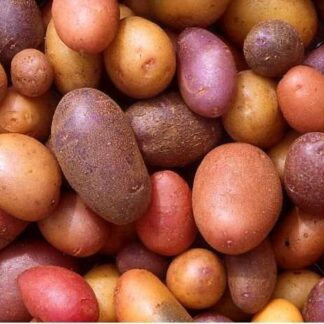 Potatoes 1 kg