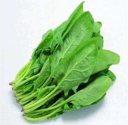 Palik Bunch